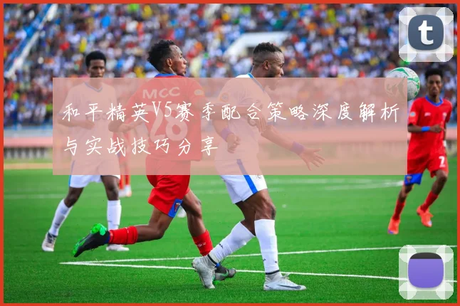 和平精英V5赛季配合策略深度解析与实战技巧分享