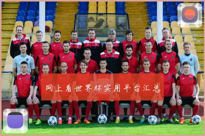 网上看世界杯实用平台汇总