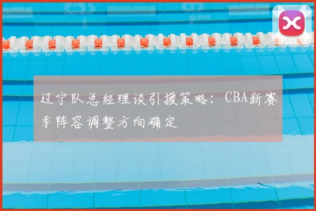 辽宁队总经理谈引援策略:CBA新赛季阵容调整方向确定