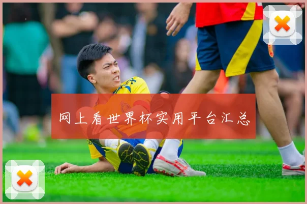 网上看世界杯实用平台汇总