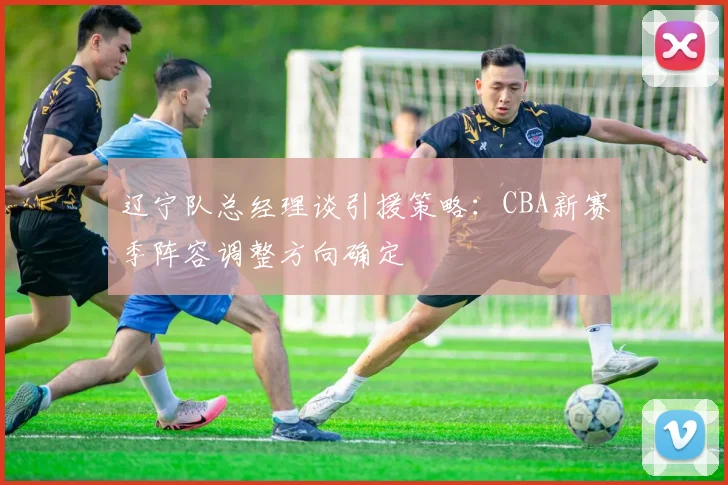辽宁队总经理谈引援策略:CBA新赛季阵容调整方向确定