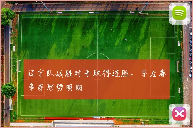 辽宁队战胜对手取得连胜,季后赛争夺形势明朗