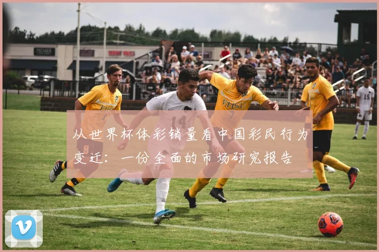 从世界杯体彩销量看中国彩民行为变迁:一份全面的市场研究报告