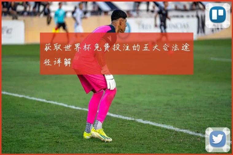 获取世界杯免费投注的五大合法途径详解
