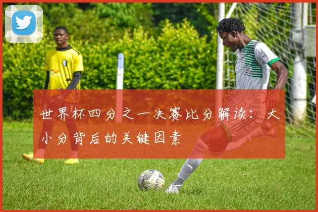 世界杯四分之一决赛比分解读：大小分背后的关键因素