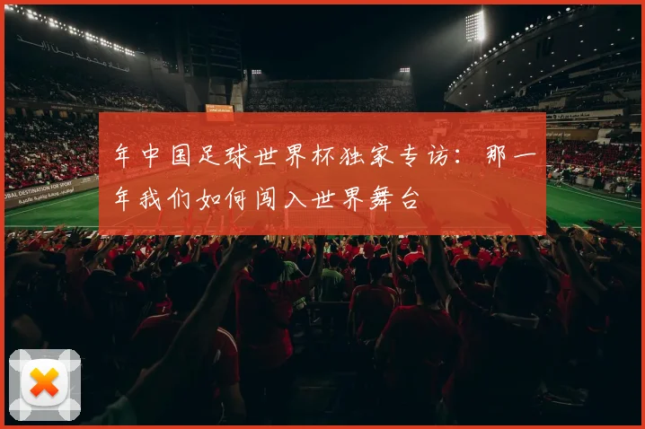 年中国足球世界杯独家专访：那一年我们如何闯入世界舞台