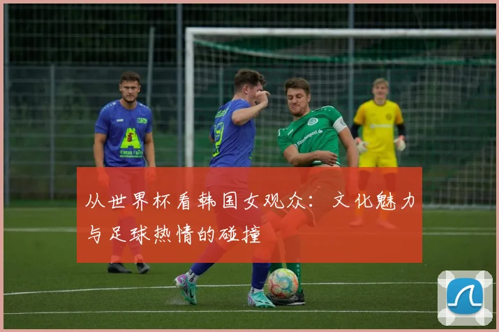 从世界杯看韩国女观众:文化魅力与足球热情的碰撞